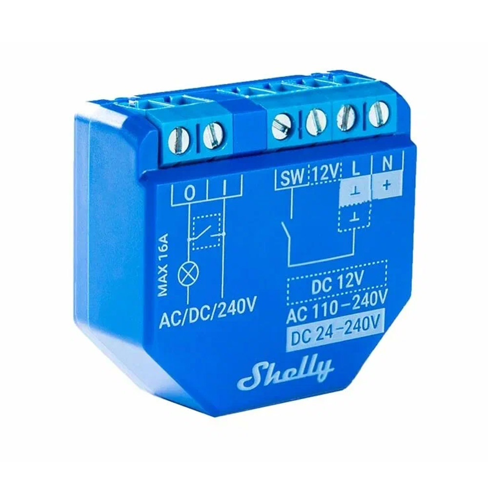 Shelly Plus 1